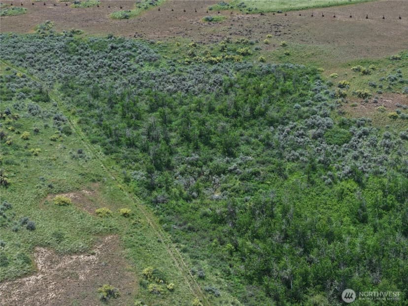 Property photo for 0 Titchenal Canyon Road Sw, Waterville photo 29