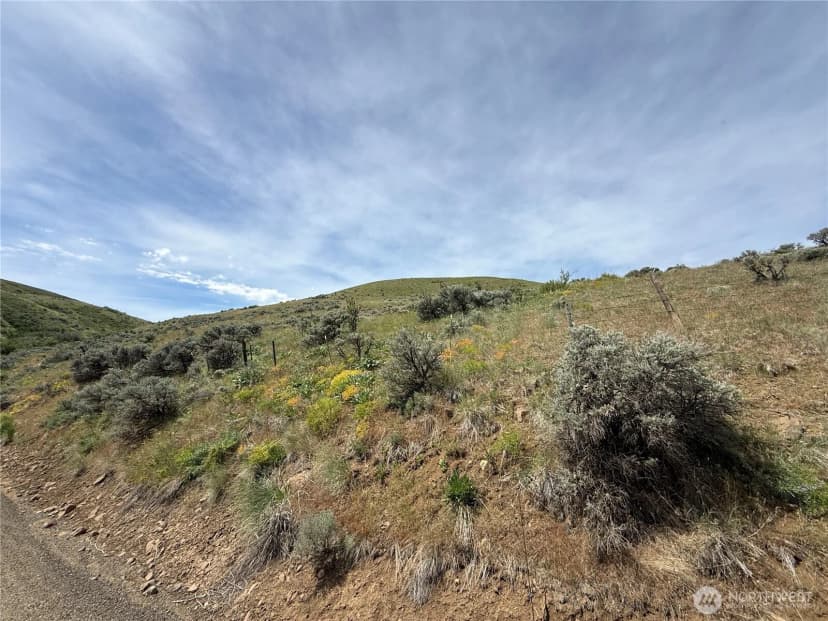 Property photo for 0 Titchenal Canyon Road Sw, Waterville photo 15