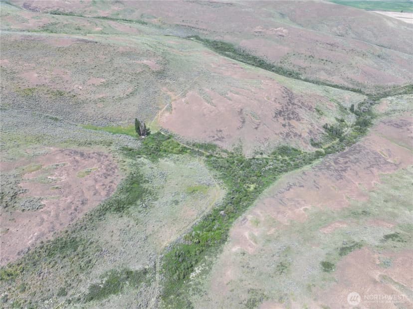Property photo for 0 Titchenal Canyon Road Sw, Waterville photo 36