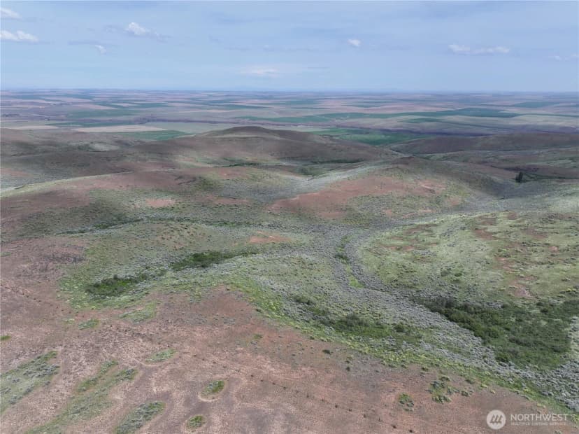 Property photo for 0 Titchenal Canyon Road Sw, Waterville photo 26