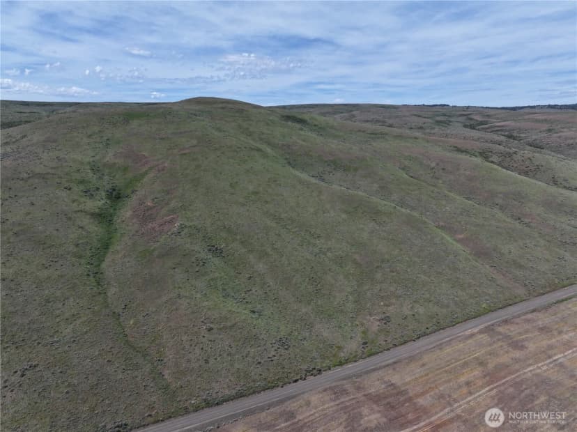 Property photo for 0 Titchenal Canyon Road Sw, Waterville photo 10