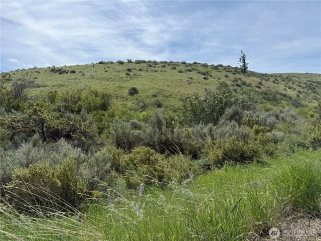 Property photo for 0 Titchenal Canyon Road Sw, Waterville photo 5