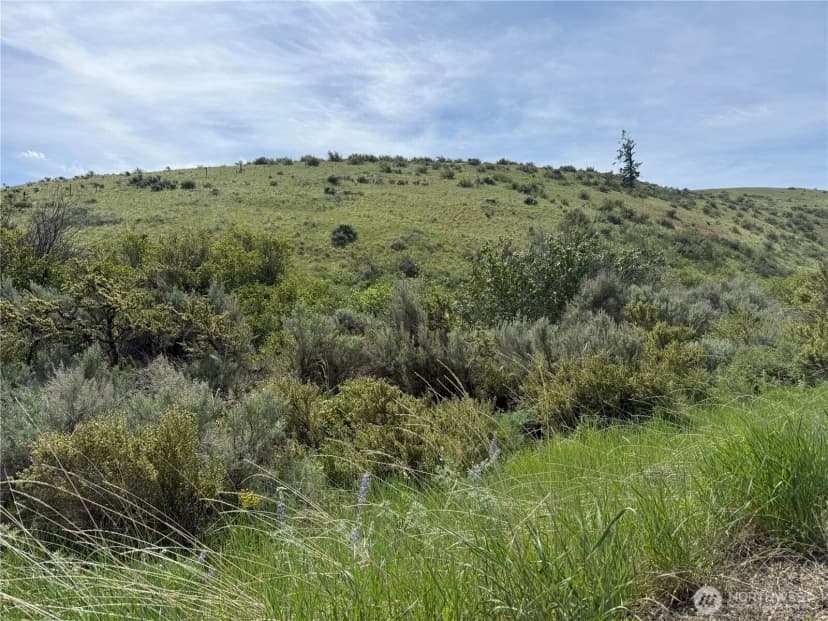 Property photo for 0 Titchenal Canyon Road Sw, Waterville photo 5