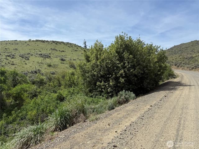 Property photo for 0 Titchenal Canyon Road Sw, Waterville photo 4