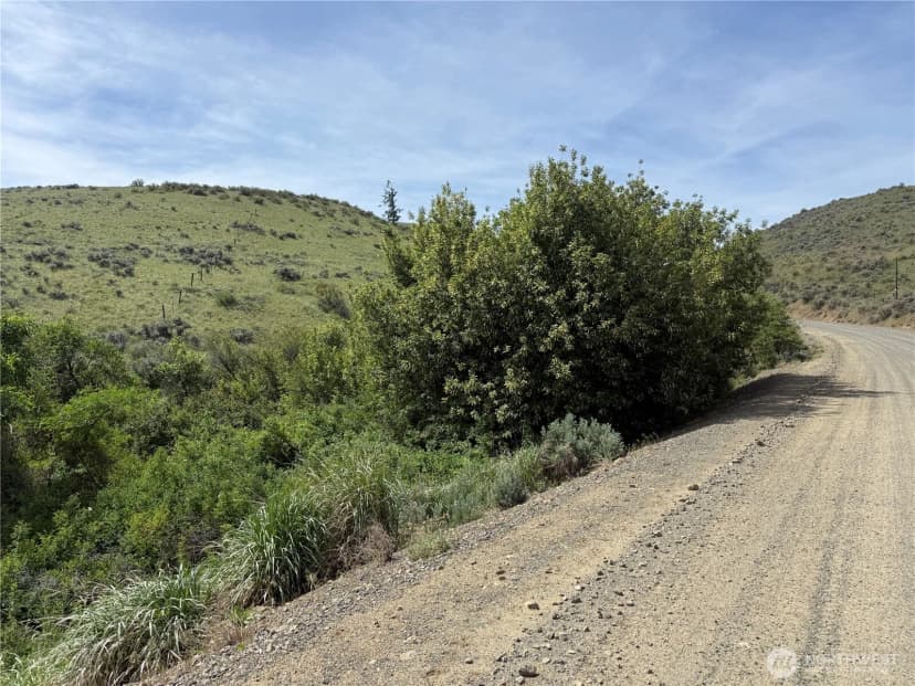 Property photo for 0 Titchenal Canyon Road Sw, Waterville photo 4