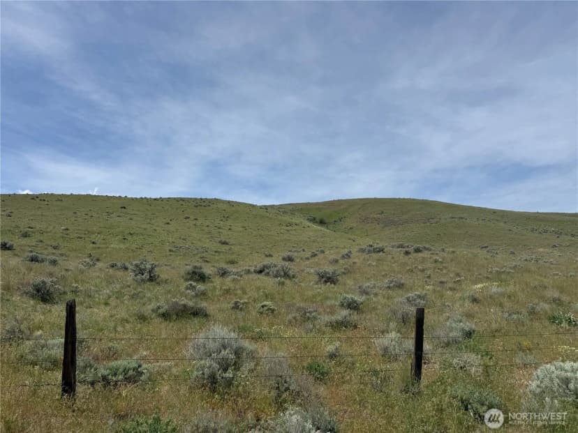 Property photo for 0 Titchenal Canyon Road Sw, Waterville photo 13