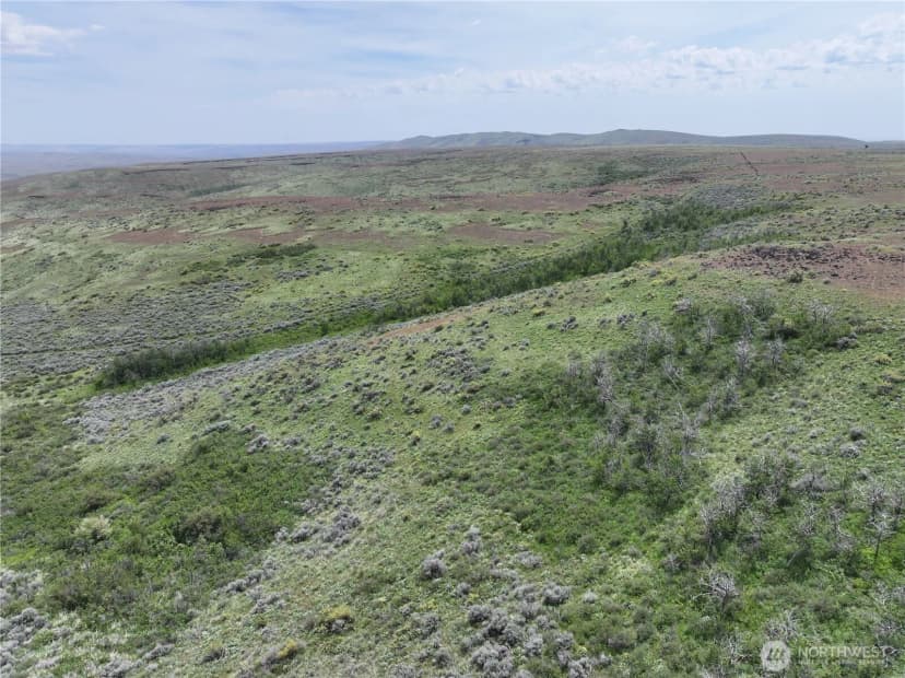 Property photo for 0 Titchenal Canyon Road Sw, Waterville photo 20