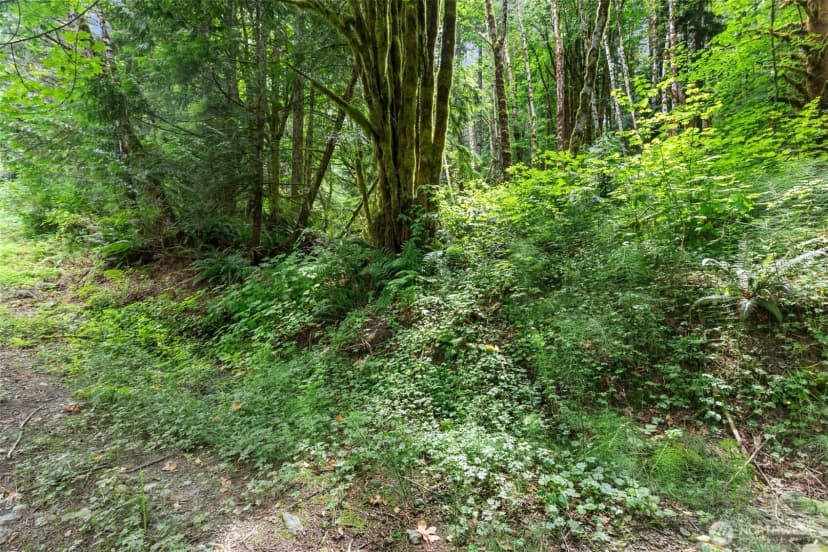 Property photo for 0 Xxxx State Route 530 Ne, Arlington photo 11