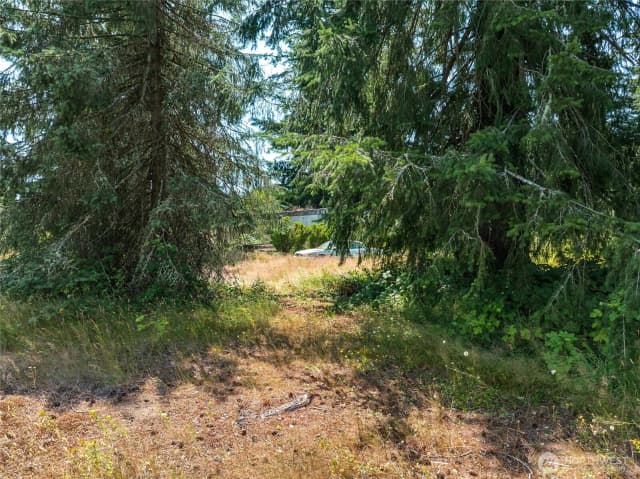 Property photo for 21115 Renton Maple Valley Road, Maple Valley photo 5