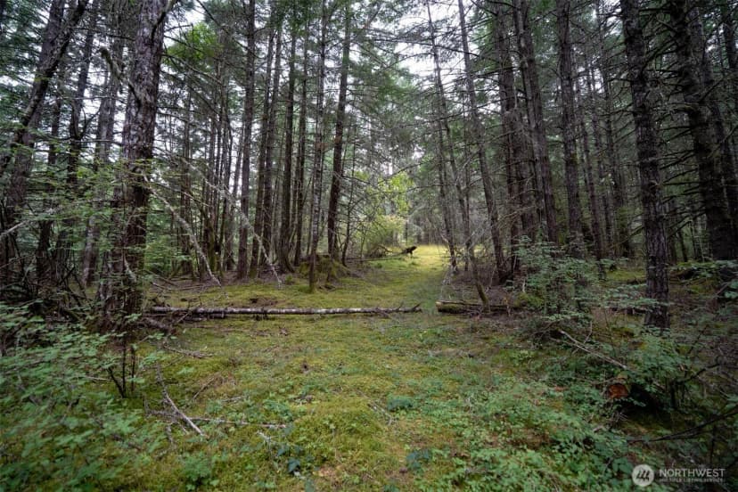 Property photo for 1087 Cady Mountain Road, San Juan Island photo 11