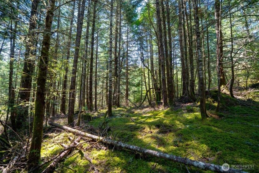 Property photo for 1087 Cady Mountain Road, San Juan Island photo 8