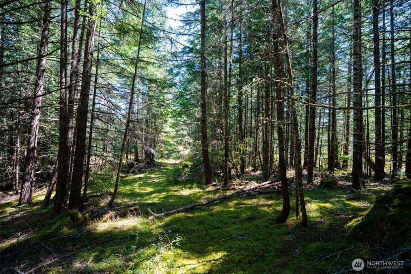 Property photo for 1087 Cady Mountain Road, San Juan Island photo 10