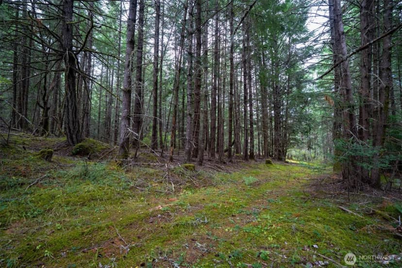 Property photo for 1087 Cady Mountain Road, San Juan Island photo 4