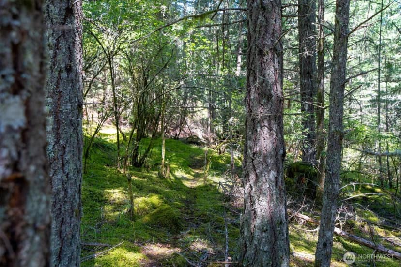 Property photo for 1087 Cady Mountain Road, San Juan Island photo 6