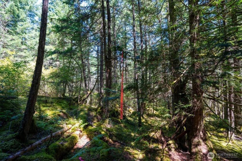Property photo for 1087 Cady Mountain Road, San Juan Island photo 19