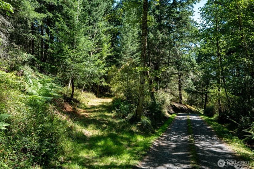 Property photo for 1087 Cady Mountain Road, San Juan Island photo 21