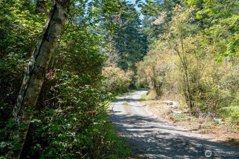 Property photo for 1087 Cady Mountain Road, San Juan Island photo 16