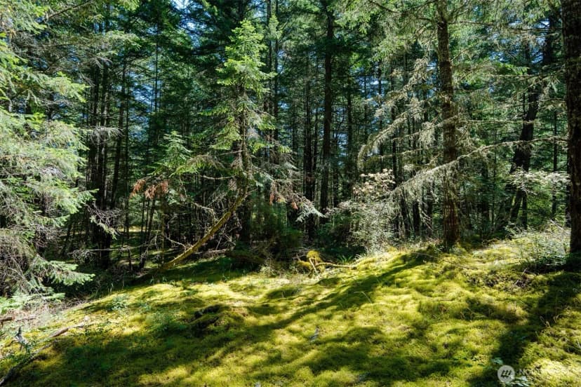 Property photo for 1087 Cady Mountain Road, San Juan Island photo 3