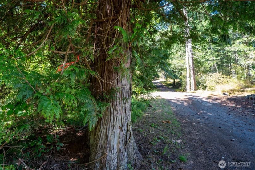 Property photo for 1087 Cady Mountain Road, San Juan Island photo 17