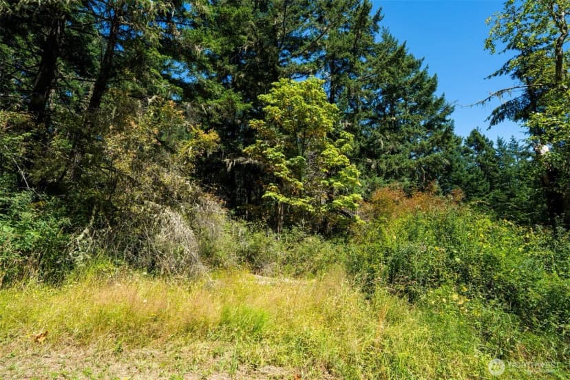 Property photo for 1087 Cady Mountain Road, San Juan Island photo 14