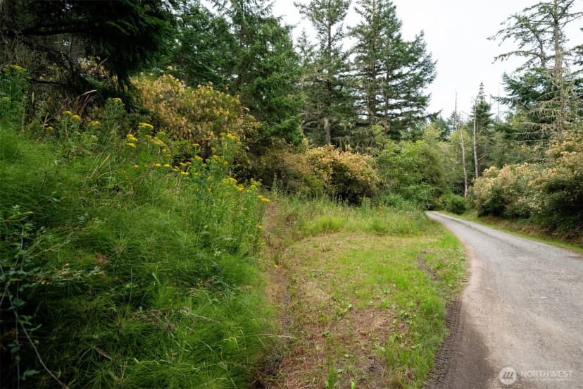Property photo for 1087 Cady Mountain Road, San Juan Island photo 15