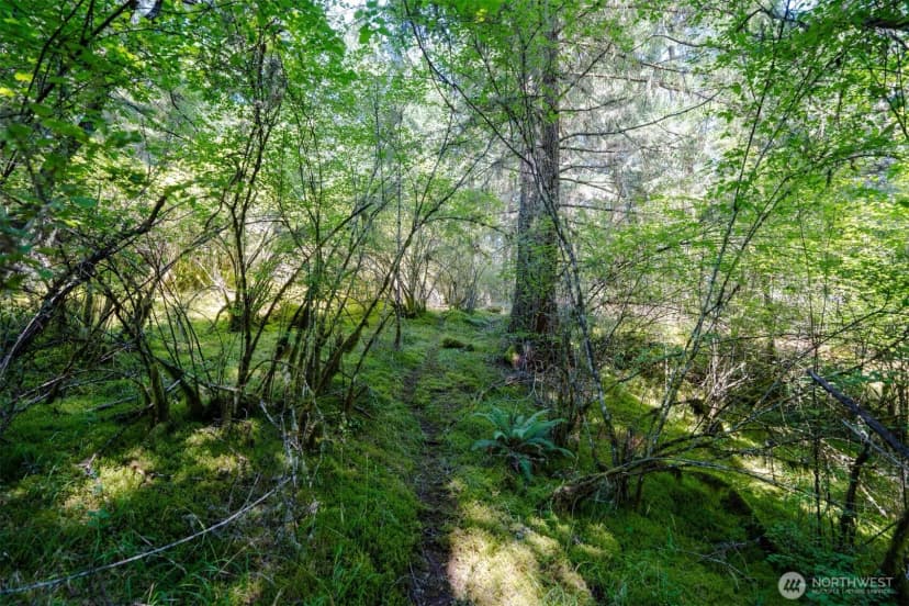 Property photo for 1087 Cady Mountain Road, San Juan Island photo 7