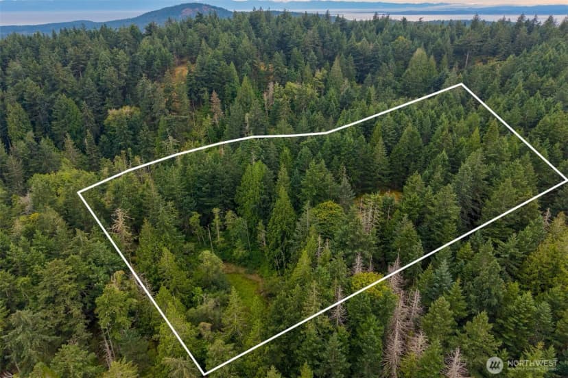 Property photo for 1087 Cady Mountain Road, San Juan Island photo 22
