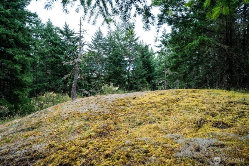 Property photo for 1087 Cady Mountain Road, San Juan Island photo 12