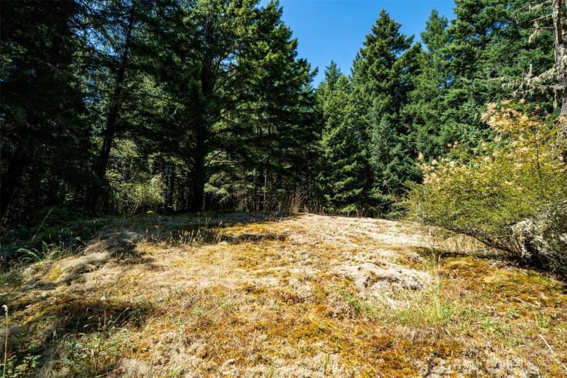 Property photo for 1087 Cady Mountain Road, San Juan Island photo 13