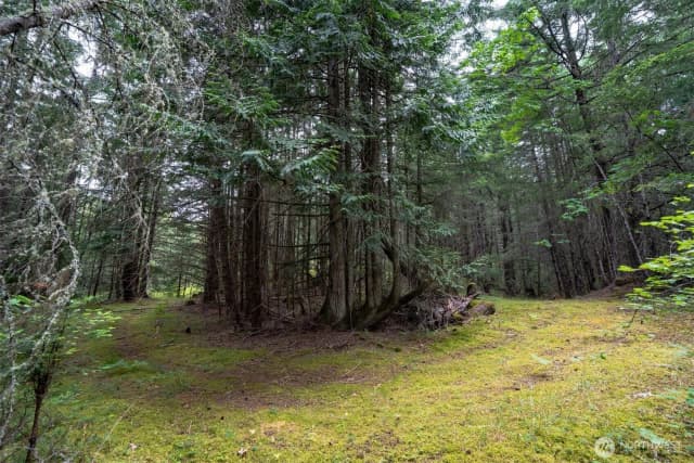 Property photo for 1087 Cady Mountain Road, San Juan Island photo 5