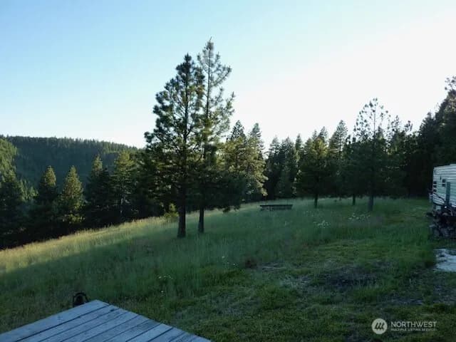 Property photo for 0 Bare Land, Waitsburg photo 12