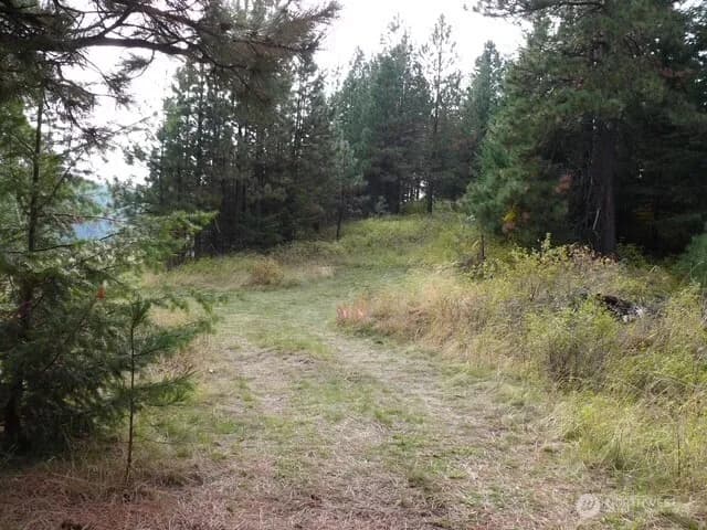 Property photo for 0 Bare Land, Waitsburg photo 11