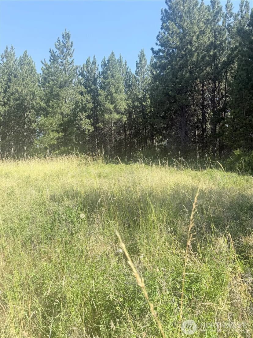 Property photo for 0 Bare Land, Waitsburg photo 22