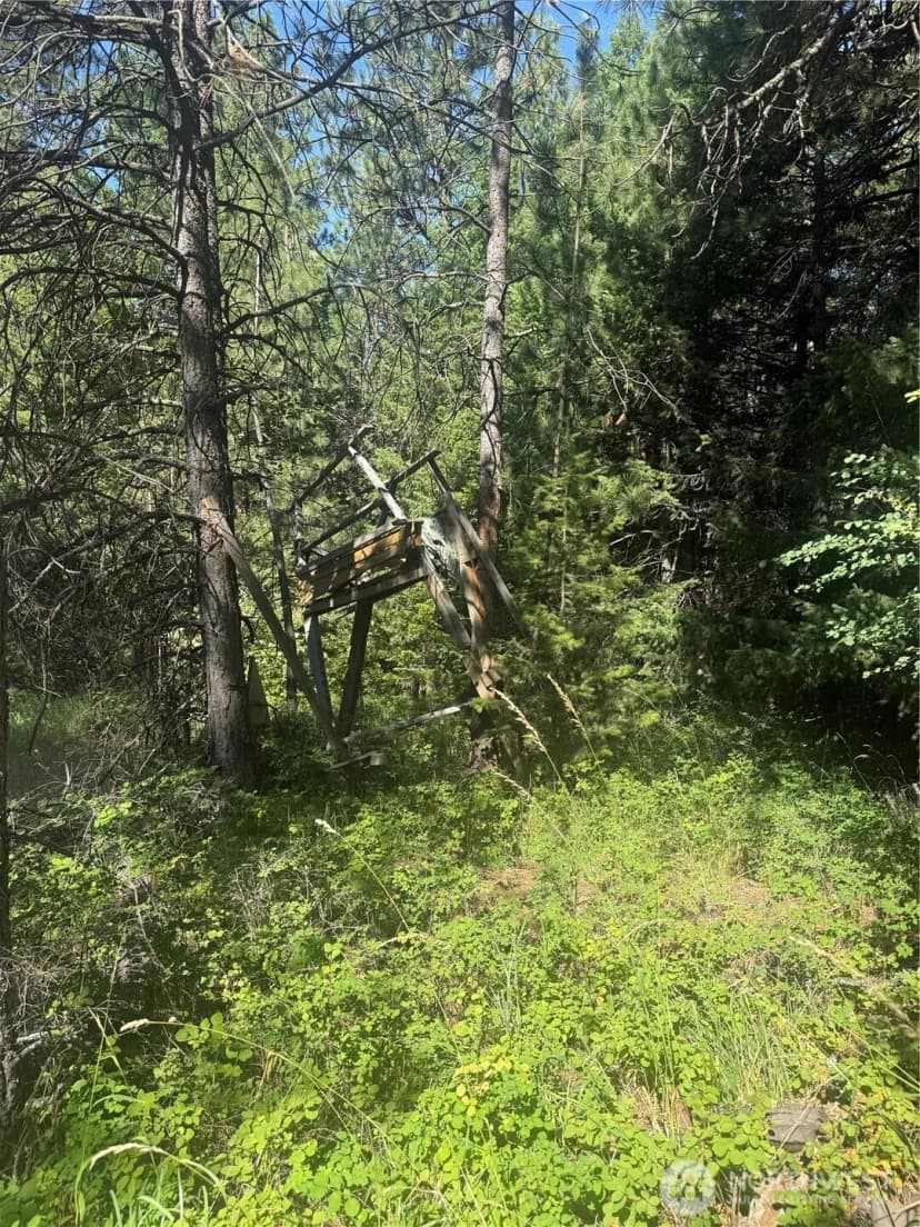 Property photo for 0 Bare Land, Waitsburg photo 21