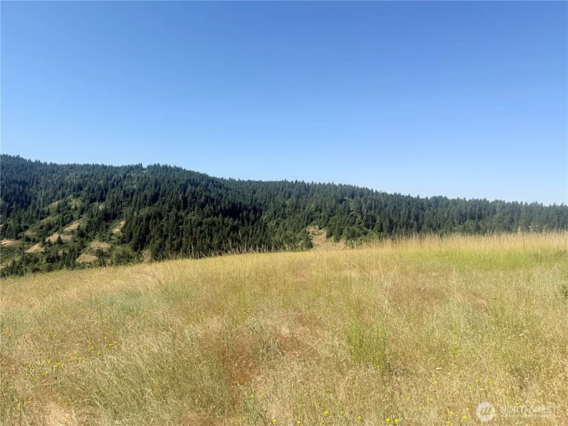Property photo for 0 Bare Land, Waitsburg photo 23