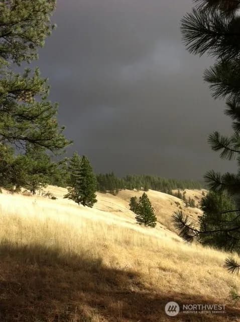 Property photo for 0 Bare Land, Waitsburg photo 6
