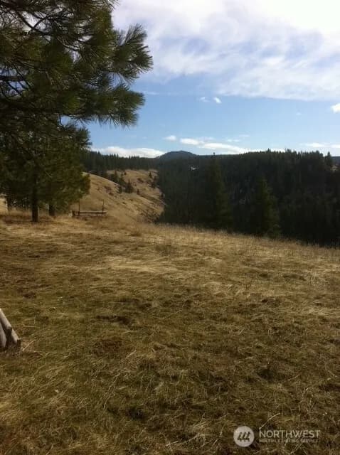 Property photo for 0 Bare Land, Waitsburg photo 9
