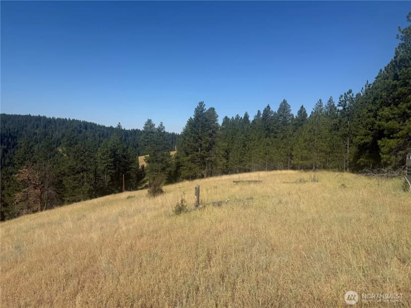 Property photo for 0 Bare Land, Waitsburg photo 26