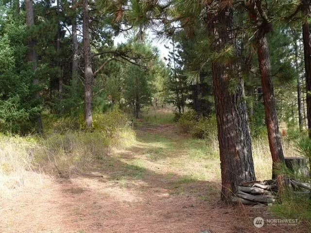 Property photo for 0 Bare Land, Waitsburg photo 10
