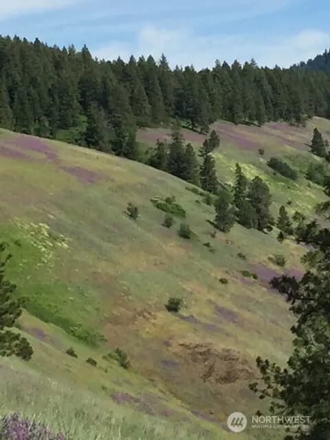 Property photo for 0 Bare Land, Waitsburg photo 5