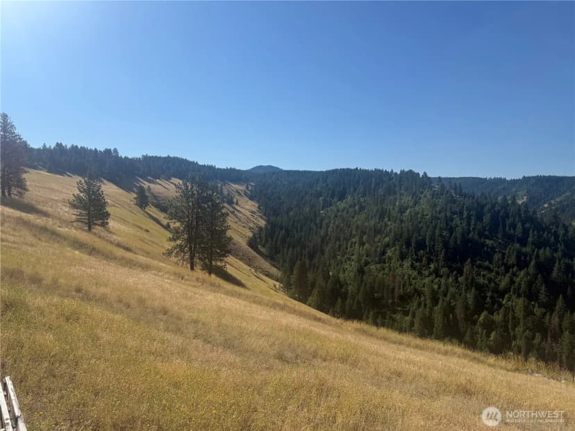 Property photo for 0 Bare Land, Waitsburg photo 25