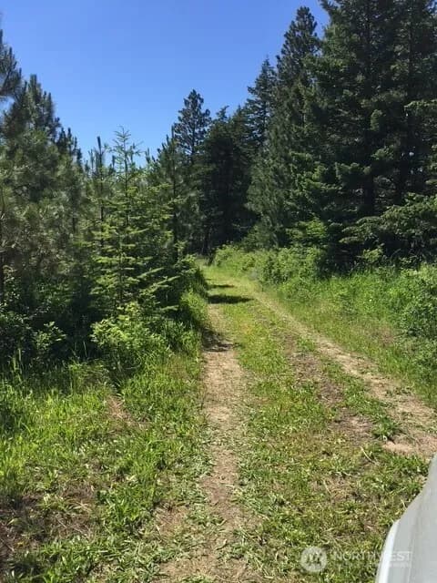 Property photo for 0 Bare Land, Waitsburg photo 3