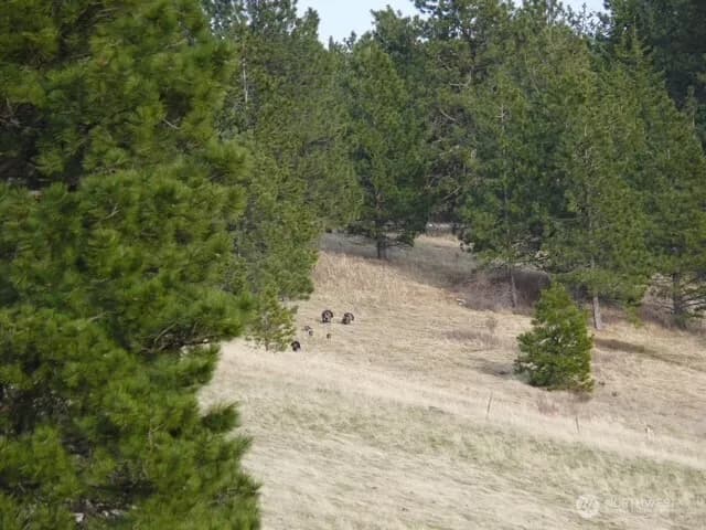 Property photo for 0 Bare Land, Waitsburg photo 8