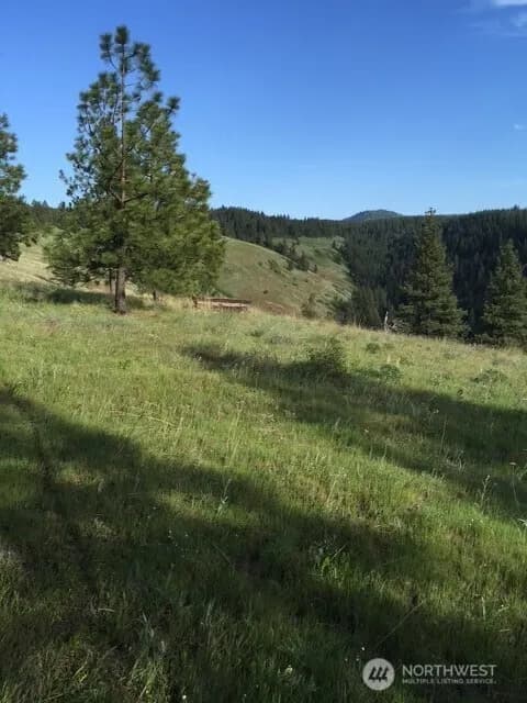 Property photo for 0 Bare Land, Waitsburg