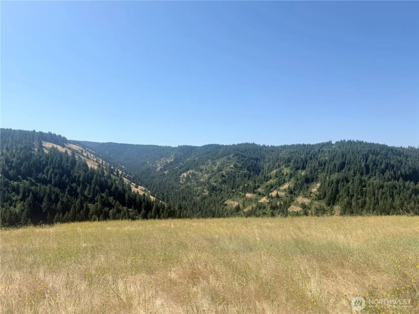 Property photo for 0 Bare Land, Waitsburg photo 24