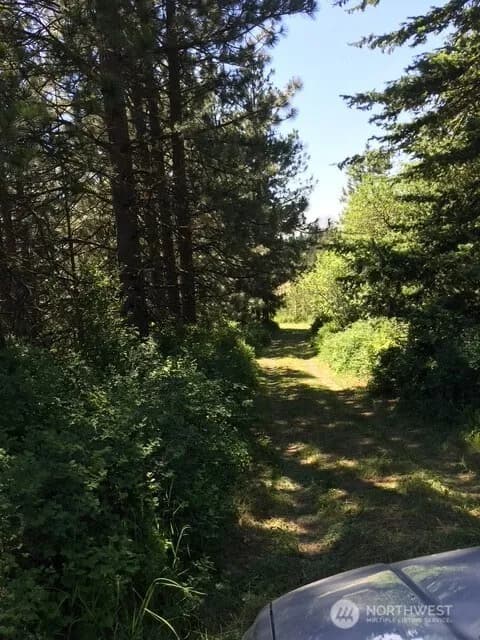Property photo for 0 Bare Land, Waitsburg photo 4