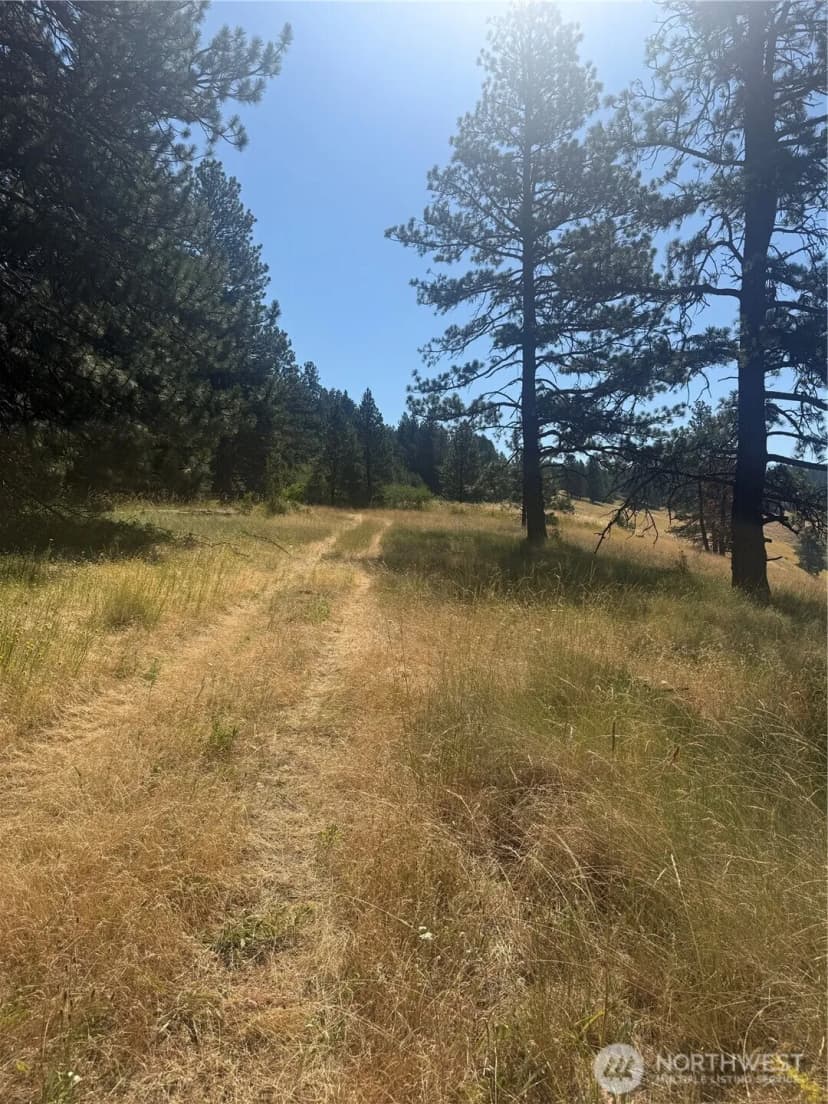Property photo for 0 Bare Land, Waitsburg photo 15