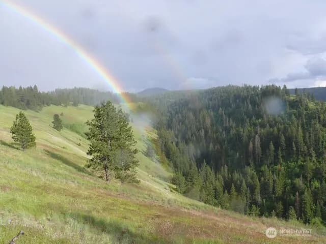 Property photo for 0 Bare Land, Waitsburg photo 7
