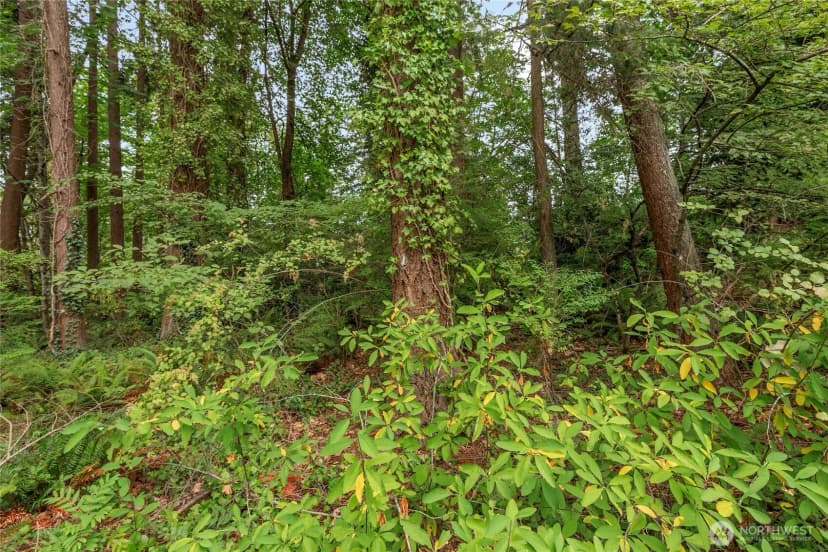 Property photo for 1234 Woodinville Duvall Road, Woodinville photo 12