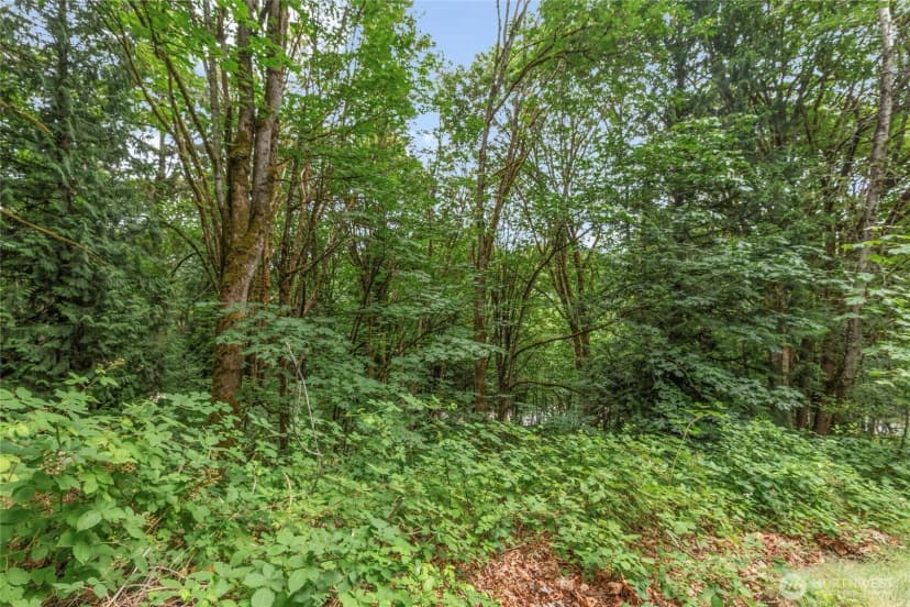 Property photo for 1234 Woodinville Duvall Road, Woodinville photo 7